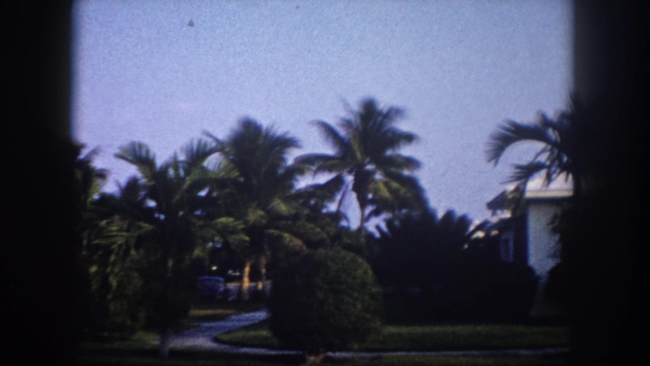 White ranch-style house framed by tall coconut palms and trimmed ornamental shrubs in a Tampa residential neighborhood, circa 1960.