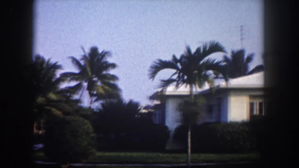 Tampa residential streetscape circa 1960 showing coconut palms, a white house, manicured shrubs, and a utility pole under a pale sky.
