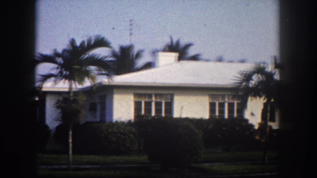 Cream house centered in frame, royal palms rising behind roofline, hedges along front facade, 8mm vignette.