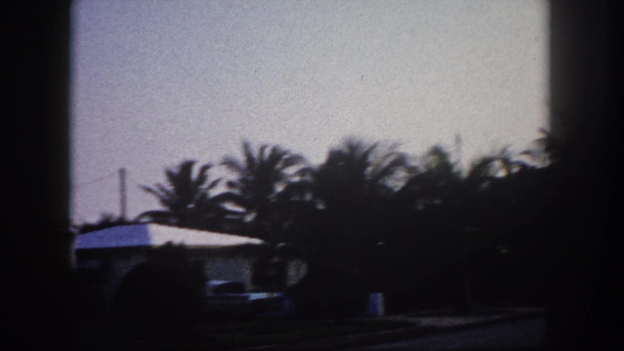 Low houses and palm trees under a pale sky with dark frame edges.