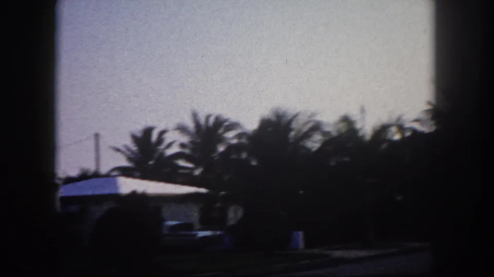 1960 Tampa residential view with single-story houses, palms, shrubs, utility poles, and soft 8mm exposure.