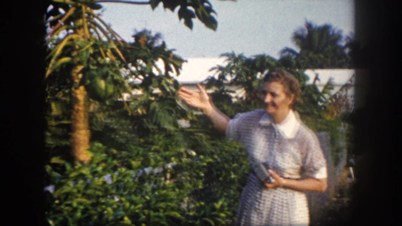 In 1960 Tampa home-movie footage, a woman smiles toward the camera while pointing at a papaya tree with green fruit.