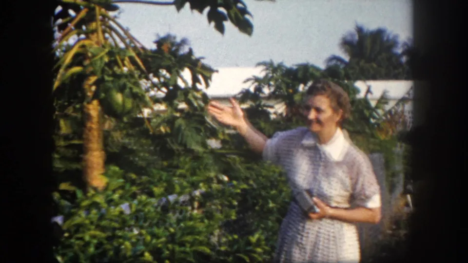In 1960 Tampa home-movie footage, a woman smiles toward the camera while pointing at a papaya tree with green fruit.