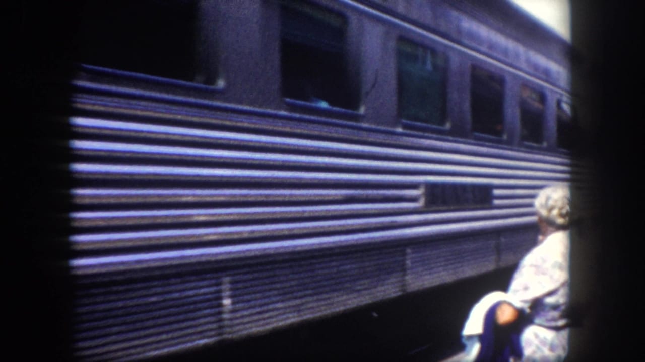 Woman in a patterned dress standing beside a dark blue ribbed passenger car at a station platform
