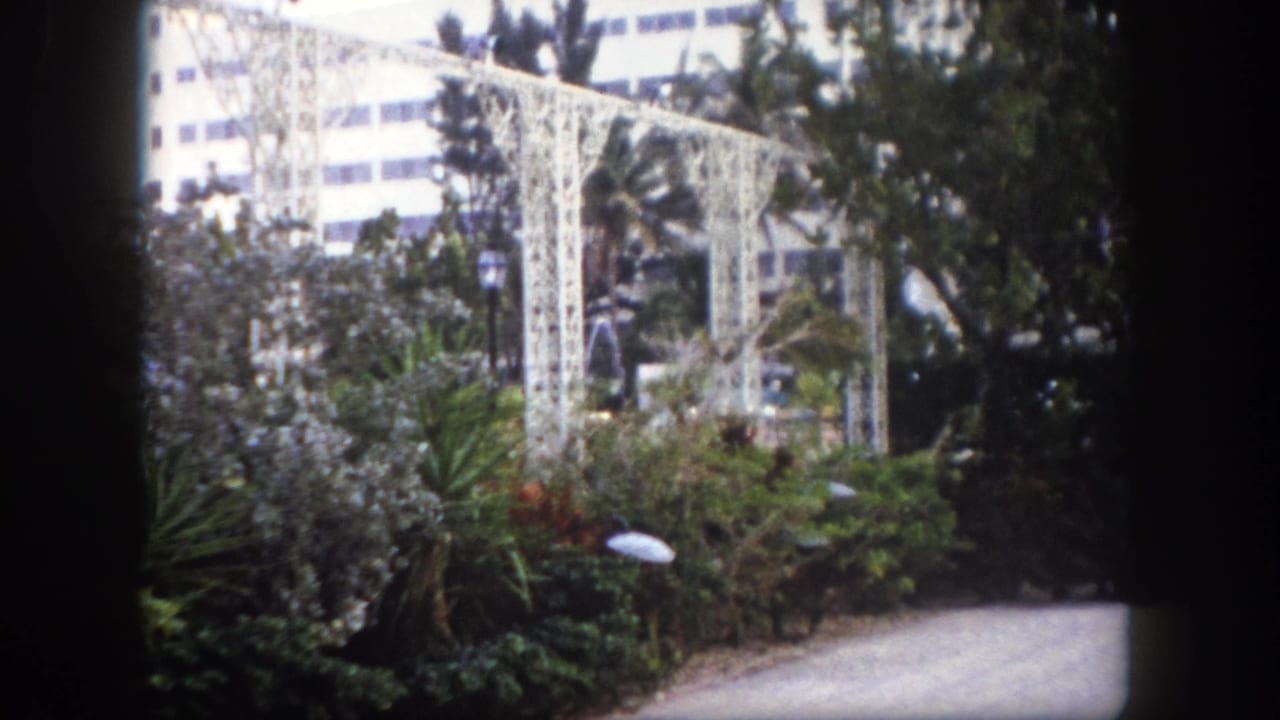 Ornate white metal trellis beside dense tropical foliage and a gravel path, modern multi-story building in background.