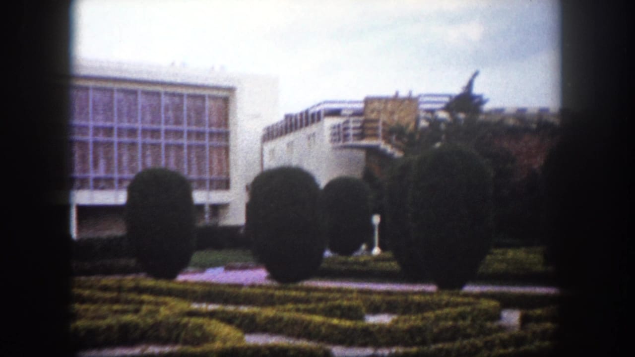 Public square garden, Tampa, Florida, circa 1960 — spherical topiary shrubs, low formal parterre hedges, and a modernist glass-facade building in the background.
