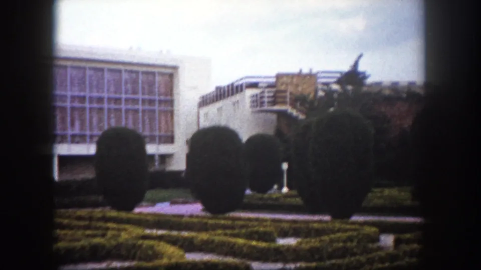 Public square garden, Tampa, Florida, circa 1960 — spherical topiary shrubs, low formal parterre hedges, and a modernist glass-facade building in the background.