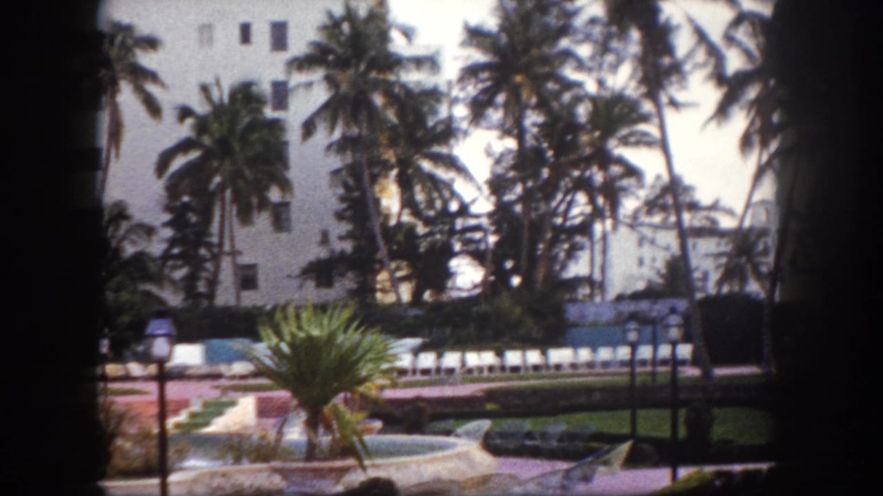 Wide shot of a large white multi-story resort building seen through tall palm trees, with ornamental garden beds and lamp posts in the foreground.