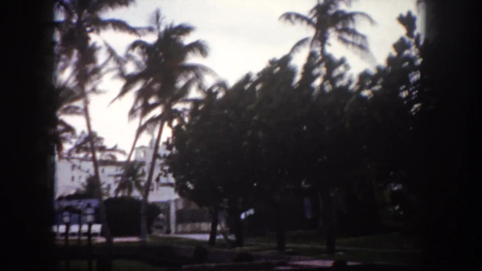 8mm color shot of a Florida resort palm grove, c.1960 — palms dominate the frame with a white building partially visible at left and manicured lawn in shadow below.