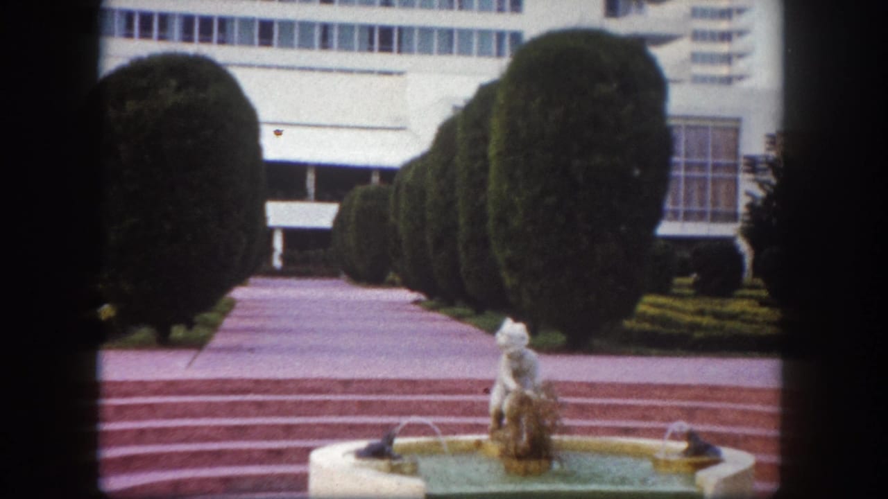 8mm frame circa 1960 showing a formal garden fountain and pink-tiled stepped pathway at what appears to be a Florida resort or civic property, Tampa area.