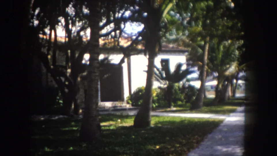 8mm home movie, c. 1960, Tampa, Florida: lush tropical garden with dense palm canopy and a low white building seen through the trees; concrete walkway in foreground.