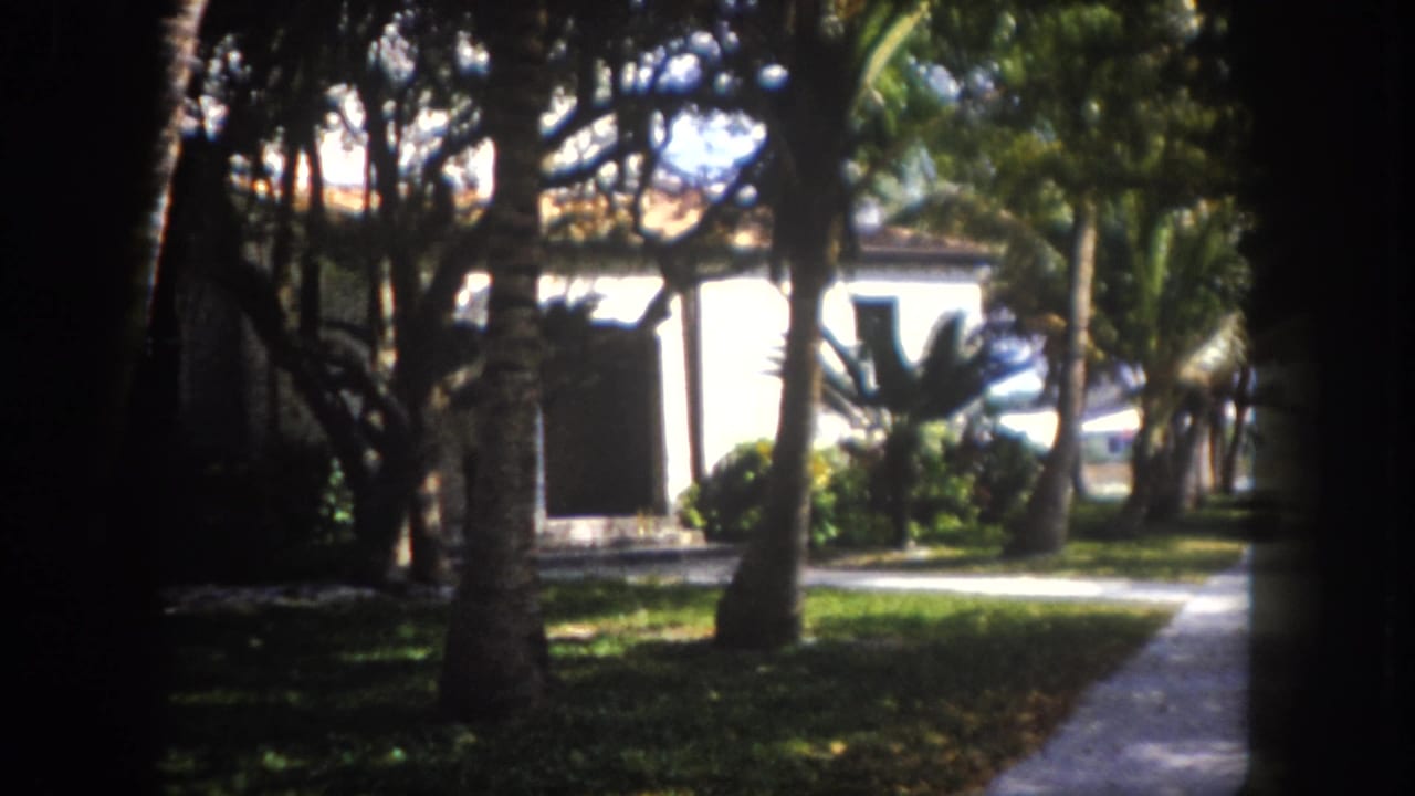 8mm home movie frame, c. 1960, Tampa, Florida: palm tree trunks in foreground frame a white stucco house with terracotta roof tiles across a sunlit lawn.