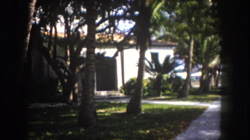 8mm home movie frame, c. 1960, Tampa, Florida: palm tree trunks in foreground frame a white stucco house with terracotta roof tiles across a sunlit lawn.
