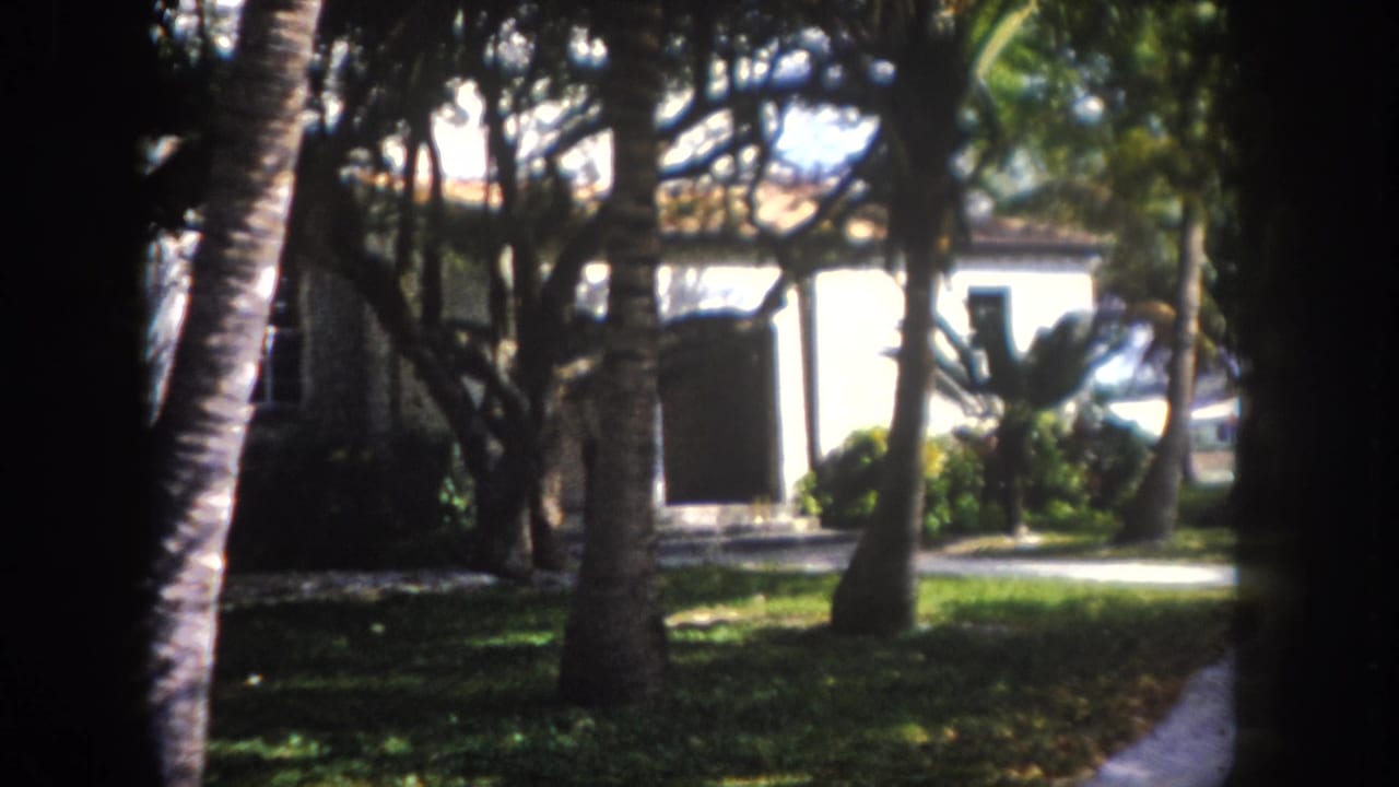 8mm home movie frame, c. 1960, Tampa, Florida: a prominent leaning palm trunk bisects the frame as the white house and garden remain visible in the background.