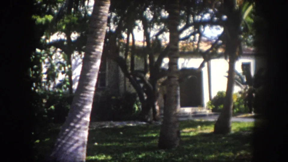 8mm home movie frame, c. 1960, Tampa, Florida: multiple palm trunks in the foreground frame the white stucco house under a dense tropical canopy with deep shadow patterns on the lawn.