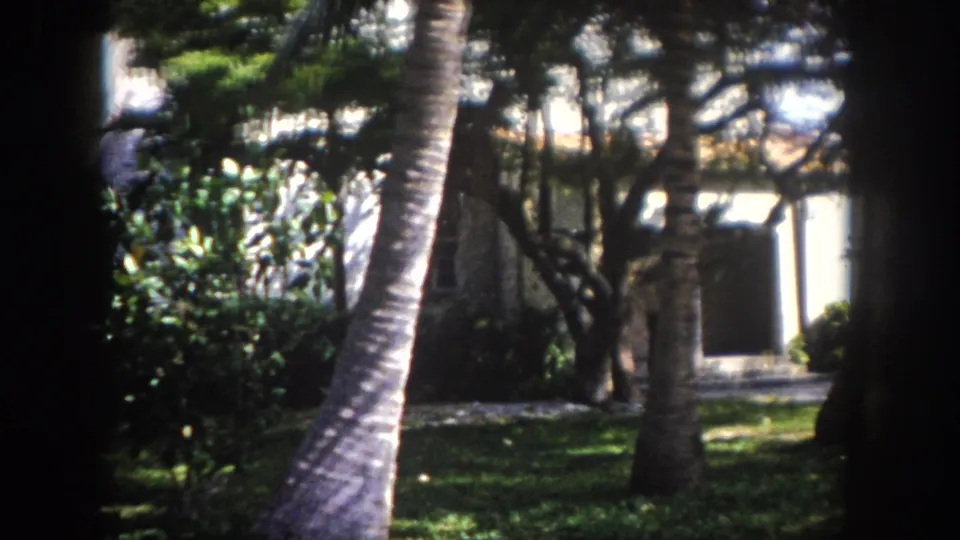 8mm home movie frame, c. 1960, Tampa, Florida: broad-leafed tropical shrubs and a palm trunk fill the foreground while the white house wall remains partly visible at the left edge.