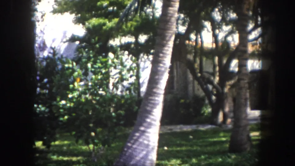 8mm home movie frame from Tampa, Florida, circa 1960 — palm trunks and lush subtropical garden with a white residential structure in the background.