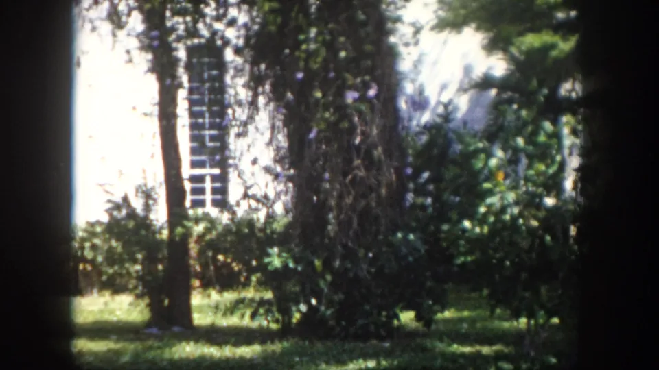 Final frame of 8mm pan, Tampa, Florida, circa 1960 — white residential wall with dark-shuttered window, palm trees, and lush tropical garden in foreground.