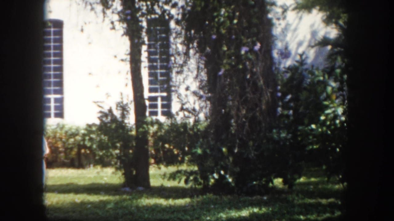 White building with tall narrow windows and mature trees; sunlit grass lawn; single figure barely visible at right edge.