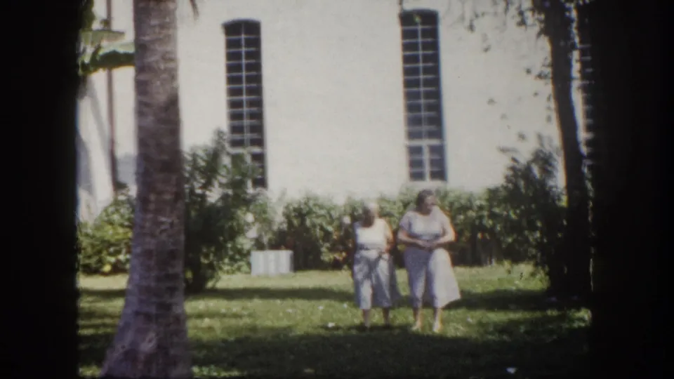One elderly woman in a light dress walks on a sun-lit lawn; a large palm tree trunk fills the foreground with white building at right, c.1960 Tampa, Florida.