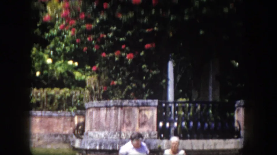 Lush subtropical garden with coral-stone wall, black iron railing, and vibrant red-flowering shrubs; two women partly visible at lower frame, Tampa area, circa 1960.