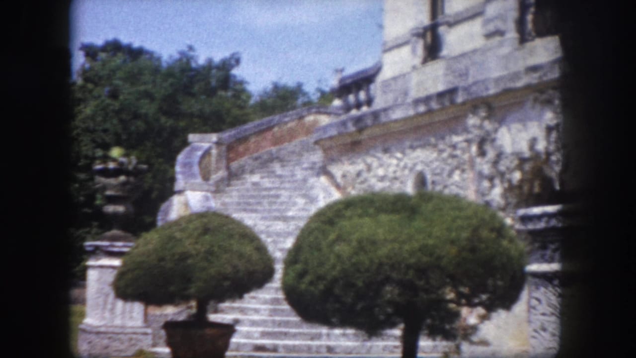 Wide stone staircase with round potted topiary trees on stone pedestals beside a carved stone building facade, Tampa, Florida, circa 1960.