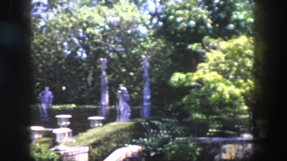 Stone urns and classical statues in a lush subtropical garden with vivid yellow-green foliage and dense canopy, Florida circa 1960, 8mm film.