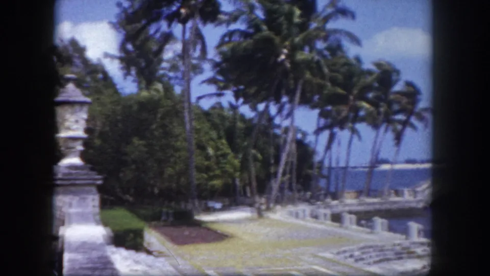 Palm-lined waterfront promenade with stone balustrade along a calm blue bay, consistent with a Florida public park setting circa 1960.