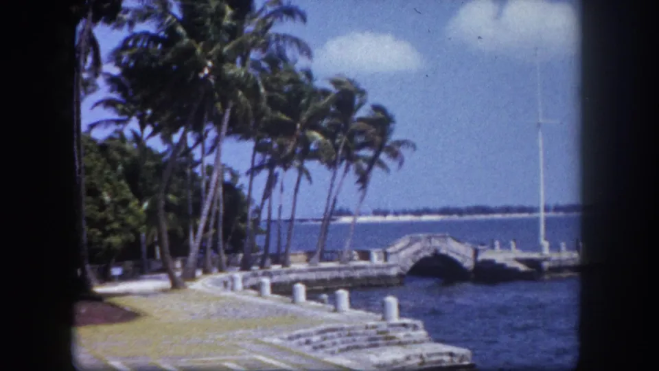 Florida waterfront path with tall palms, a stone arch structure at the water's edge, and open bay under blue sky, circa 1960.