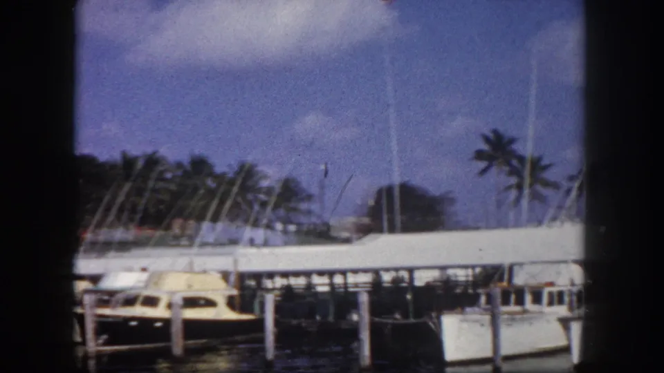 Tampa waterfront marina, circa 1960 — leisure motorboats docked at pier with palm trees and waterfront buildings visible; 8mm home movie footage.