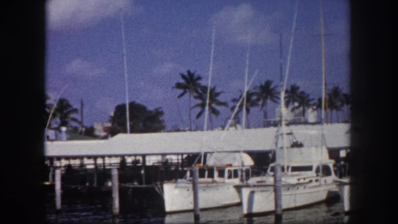 White cabin cruisers and motorboats moored in a line at a Florida marina circa 1960, with a covered dock structure and palm trees behind.