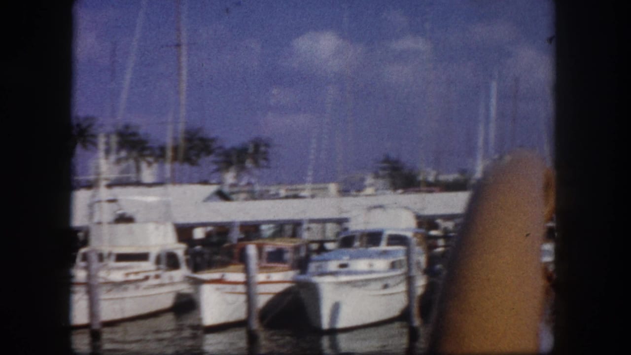 White cabin cruisers at a Florida marina dock circa 1960, palm trees in background; a partial figure or object — possibly an arm — intrudes at right.