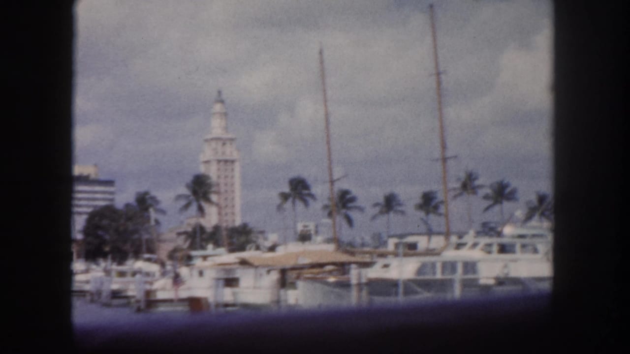 8mm home movie frame c. 1960, Tampa Florida marina with moored yachts, palm trees, and a distant white tower consistent with a civic landmark