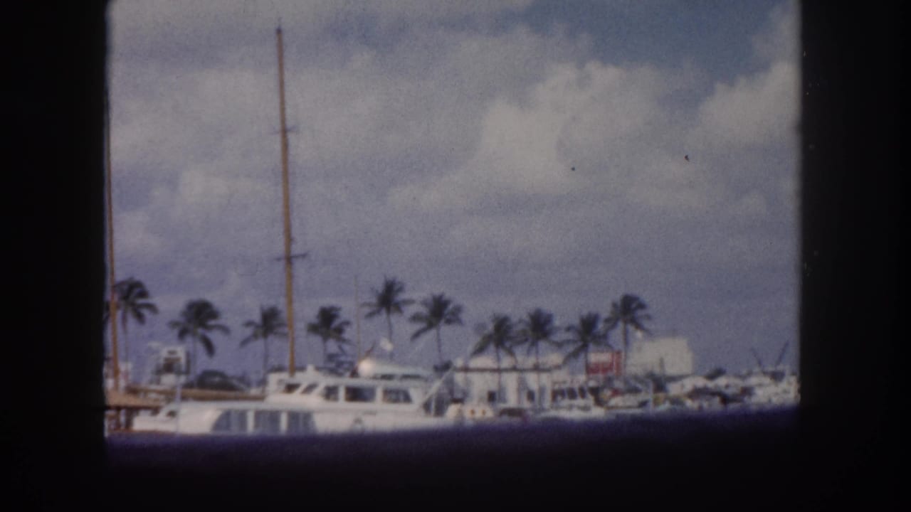 8mm marina pan showing densely moored motor yachts and cabin cruisers with a palm tree shoreline and cloudy sky
