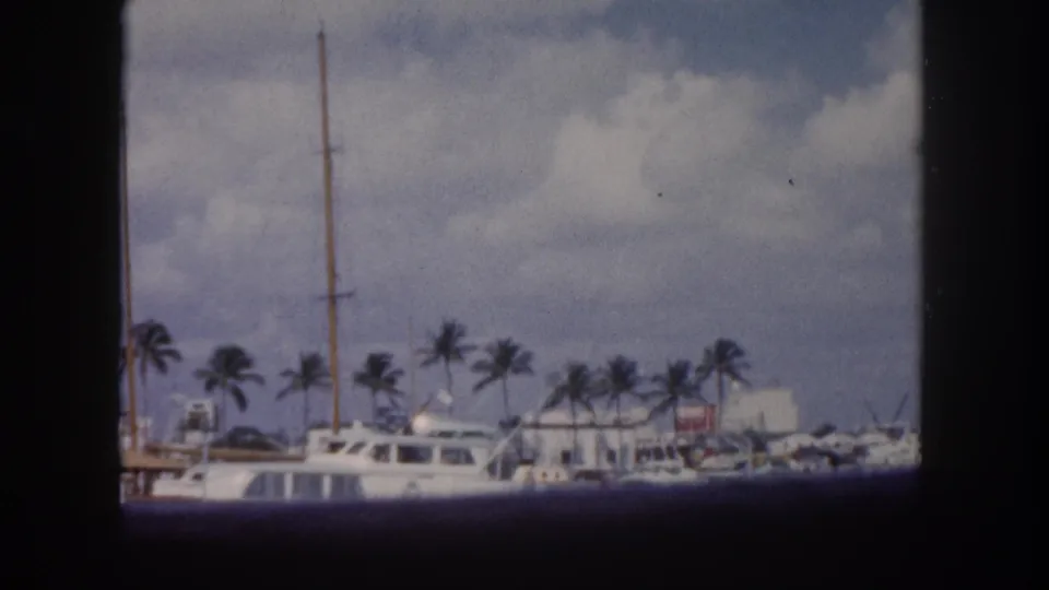 8mm home movie frame c. 1960, Tampa Florida marina packed with moored yachts and cabin cruisers, palm trees lining the distant shore