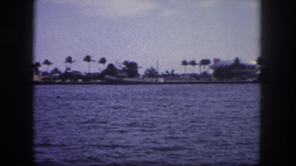 8mm home movie frame circa 1960 of a Florida palm-lined shore across open water, with soft grain characteristic of period amateur film stock.