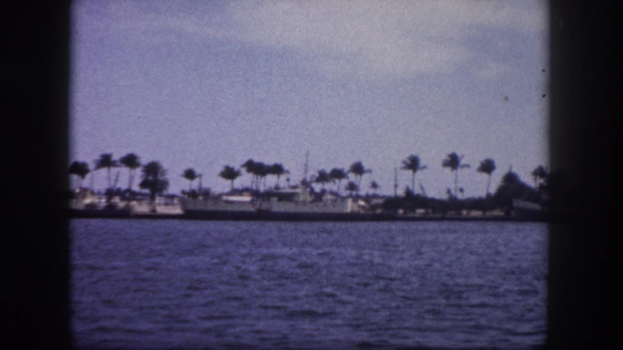 8mm film frame of open water with a distant palm-lined shoreline and low buildings under a hazy sky.