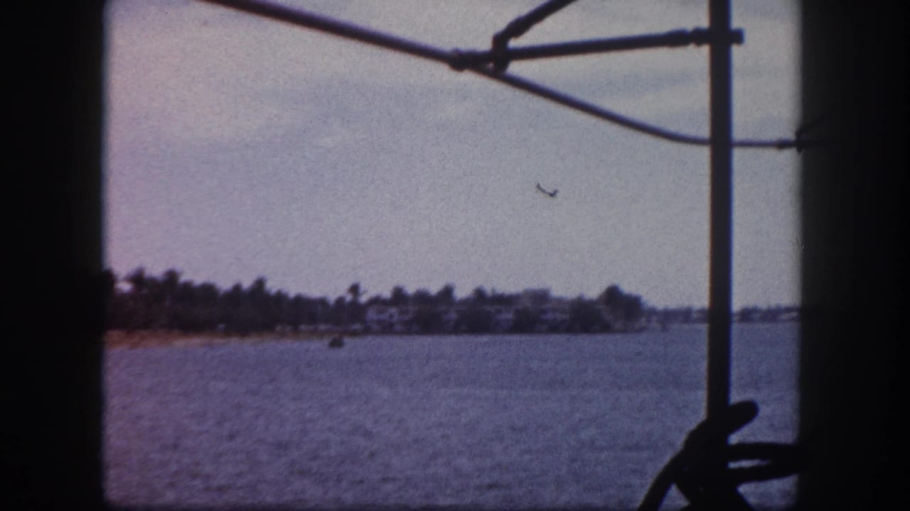 Boat-deck view across pinkish-hued water toward a palm-lined shore with low buildings; metal boat structure visible upper right, distant object in sky.