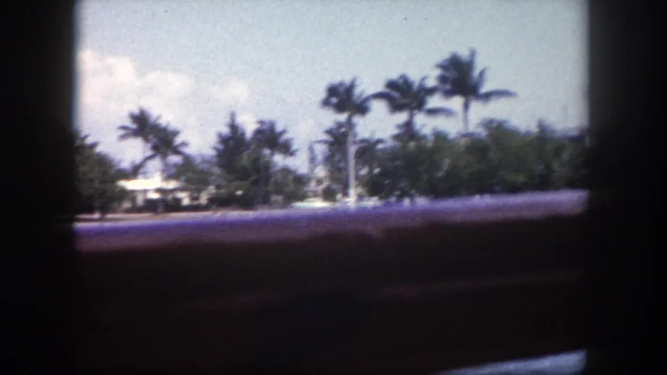 8mm home-movie frame circa 1960, Tampa Florida — close tropical shoreline with prominent palm trees, low buildings, and horizontal boat railings in foreground.