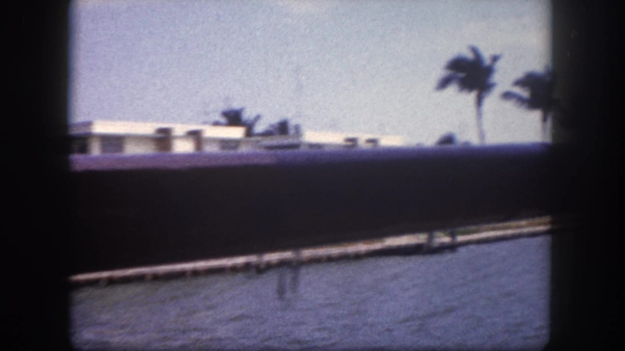White building across water with a dock or pier visible, palm tree at right, viewed through foreground railing.