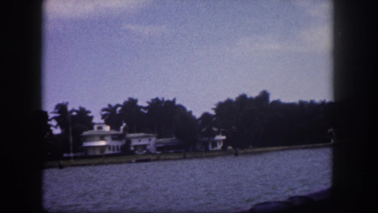 Waterfront view of mid-century Florida estates with palm trees seen from the water, circa 1960.
