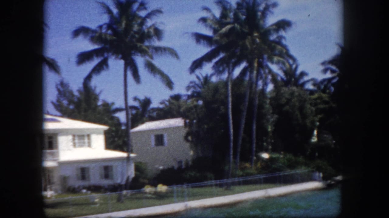 Passing 8mm view of a white stucco outbuilding on a Tampa-area waterfront, framed by tall coconut palms, circa 1960.