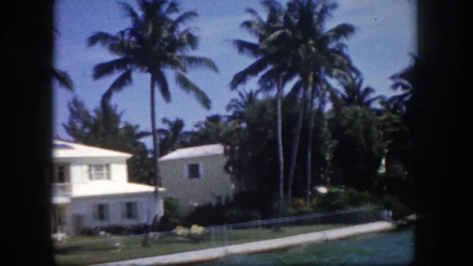 Passing 8mm view of a white stucco outbuilding on a Tampa-area waterfront, framed by tall coconut palms, circa 1960.