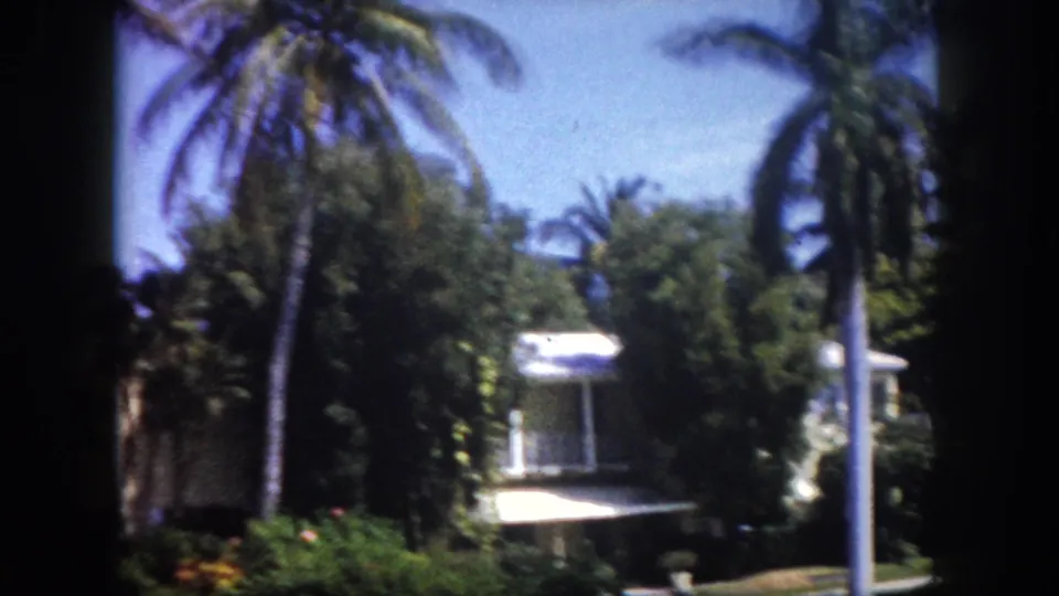 8mm color frame showing a circular pavilion or gazebo amid dense coconut palms and tropical garden on a Florida waterfront, circa 1960.