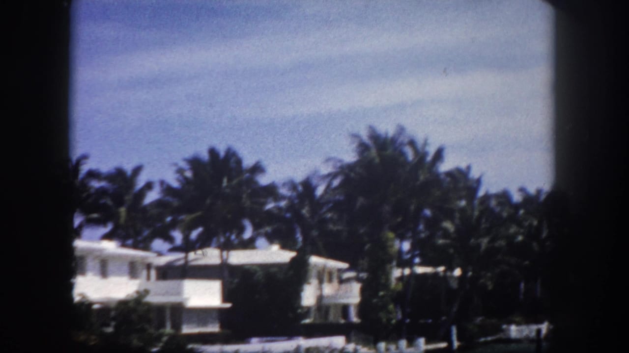 8mm color footage circa 1960, Tampa, Florida: several white stucco residential properties visible behind a palm-tree canopy at the canal's edge, blue sky above.