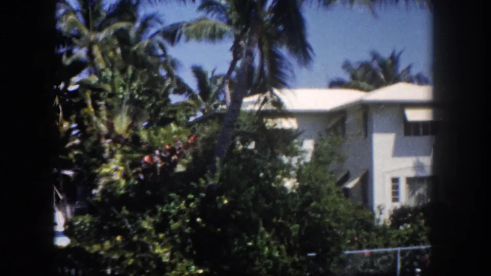 Ground-level view through lush tropical palms toward a white flat-roofed Florida house with bright sky above, circa 1960 8mm home movie.