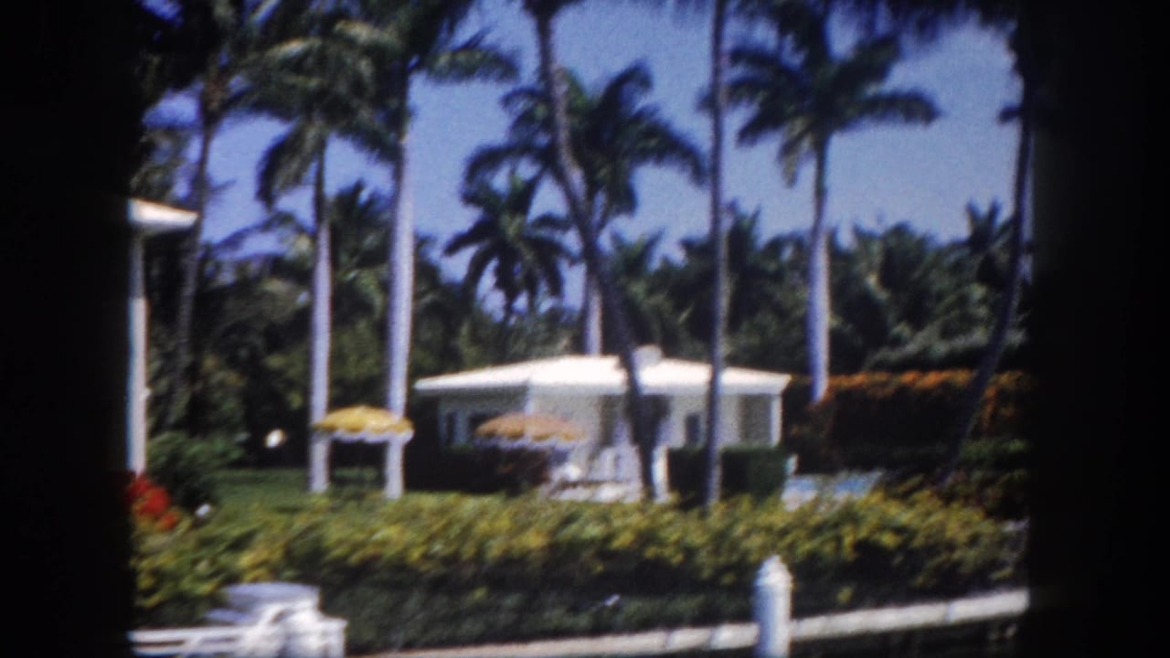 Drive-by view of a low white flat-roofed house behind orange flowering hedges, framed by tall royal palms against a bright blue sky.