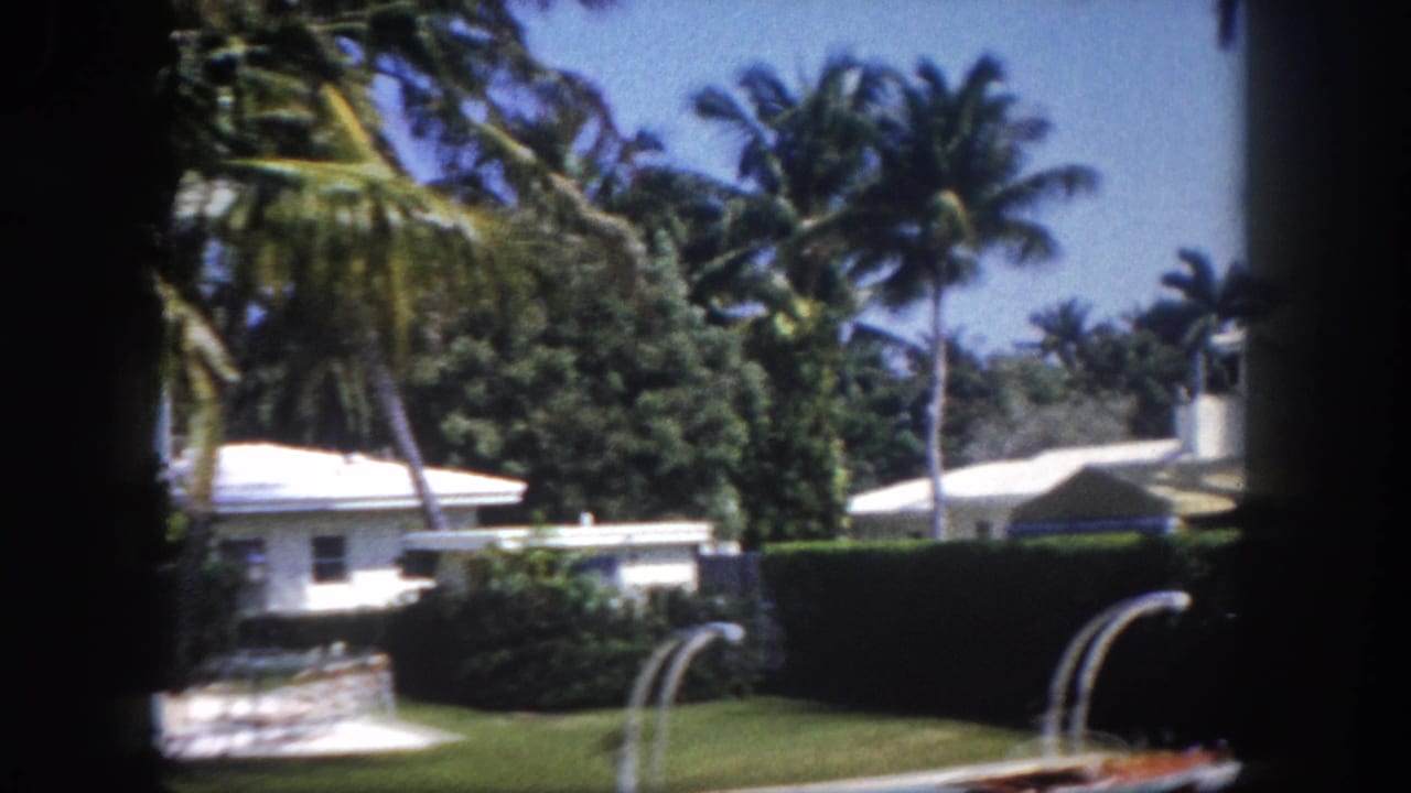 Passing view of a white Florida residence behind dense palm trees, pool arc visible at right, circa 1960, 8mm color film.
