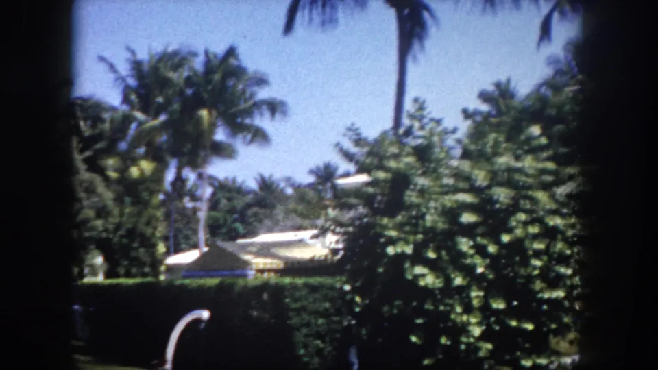 Dense tropical vegetation partially obscuring a white residential roofline, pool arc at left edge, Florida, circa 1960, 8mm color film.