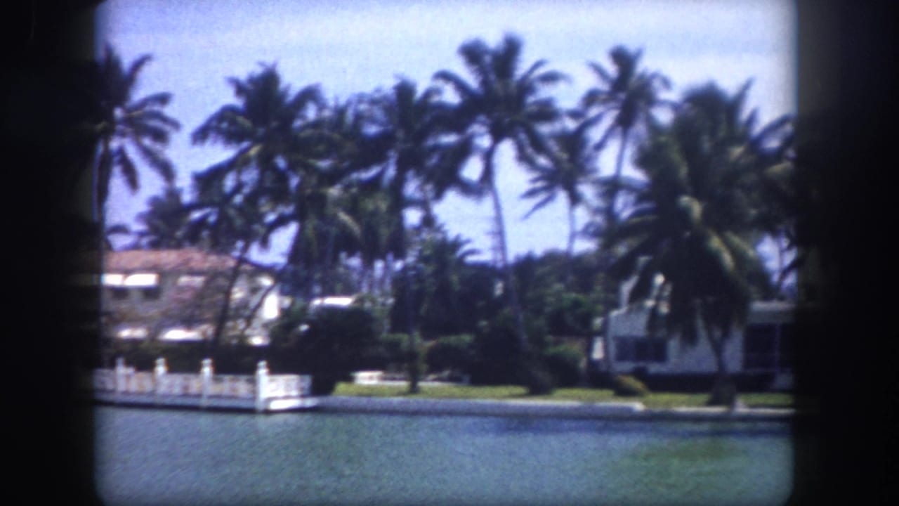 Waterway with white stucco homes and tall palm trees, viewed from a moving boat on 8mm film.